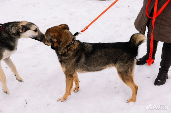 Прекрасный мальчик хочет домой