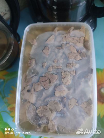 Печень минтая натуральная