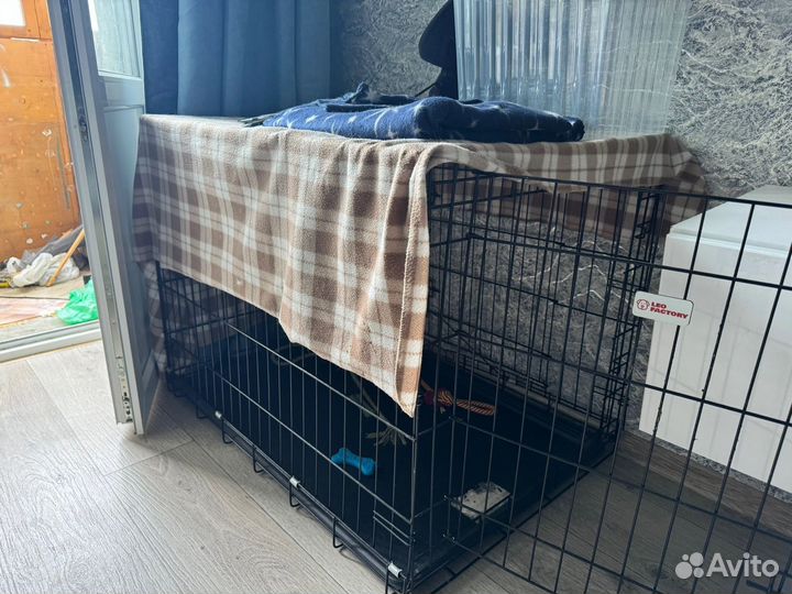 Клетка для собаки бу