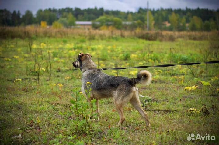 Барон