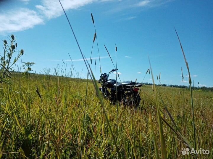 Продаю мопед альфа