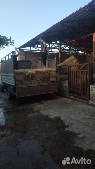 Сено в тюках