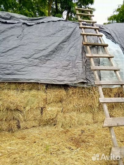 Сено в квадратных тюках