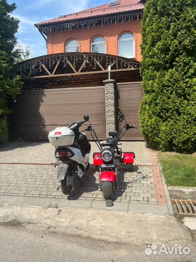 Электротрицикл whie siberiatrke mini RED 1500W