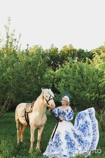 Аренда коня для фотосессии