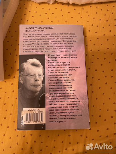 Книга «Под куполом падают рощовые звезды»