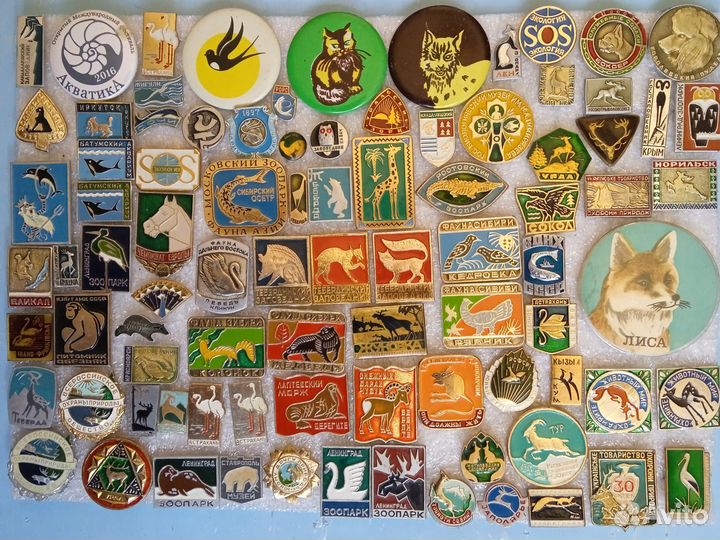 Значки о животных, растениях, птицах