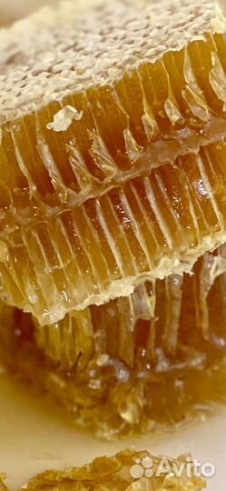 Рамка меда в сотах