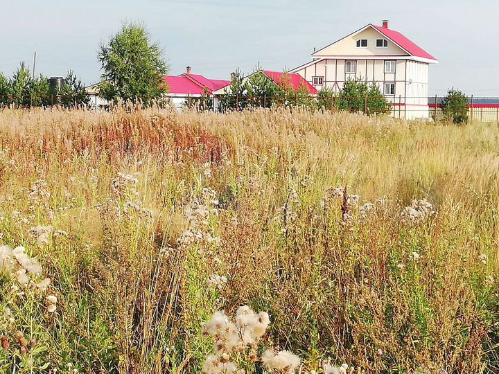 Участок 20 сот. (СНТ, ДНП)