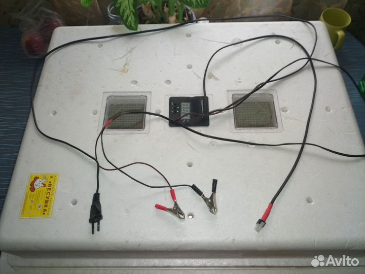 Инкубатор автоматический