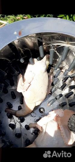 Перосъемная для гусей и уток