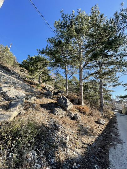 Участок 12 сот. (ИЖС)