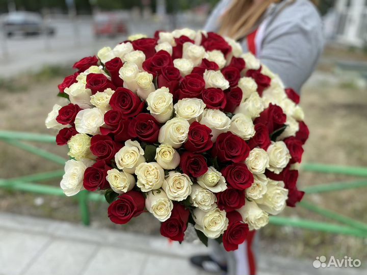 Красные и белые розы