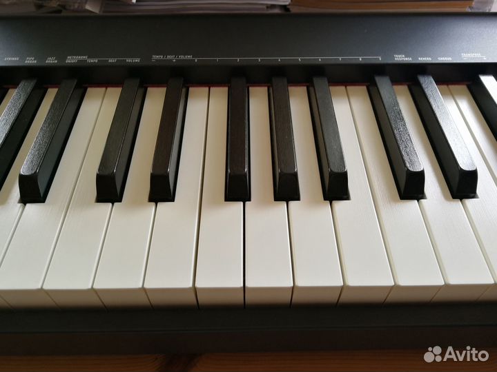 Цифровое фортепиано Casio CDP-S100BK