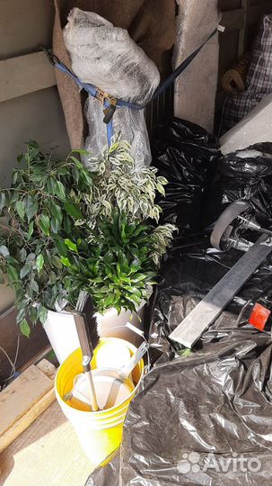 Междугородние перевозки