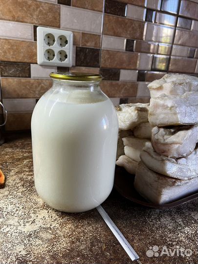 Сало соленое