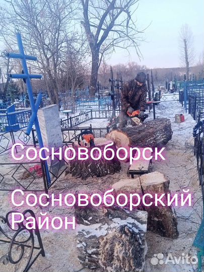 Спил деревьев, расчистка планировка участков