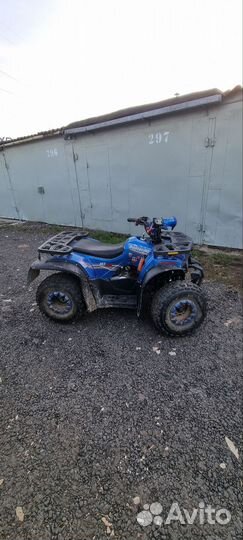 Avantis Hunter 8 new