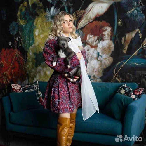 Администратор