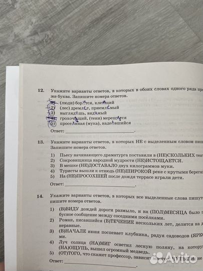 Сборник ЕГЭ по русскому языку 2024