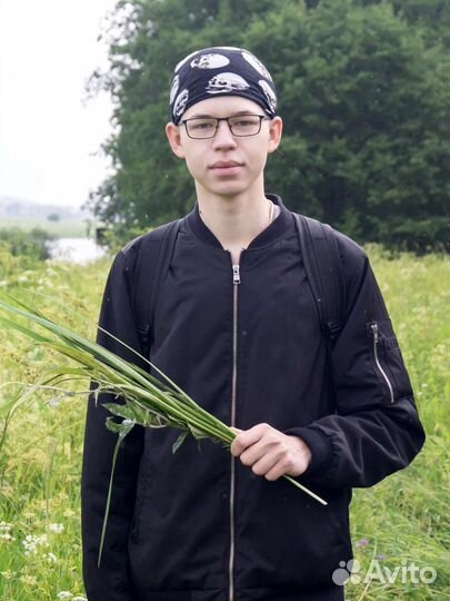 Репетитор егэ/огэ по биологии