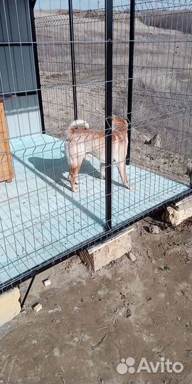 Вольер для собак