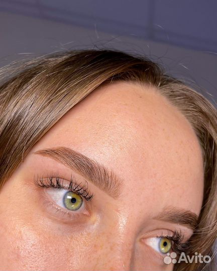 Мастер бровист