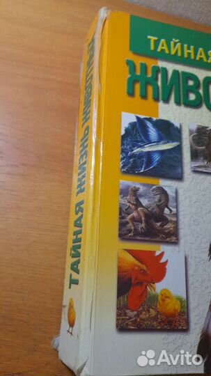 Детская энциклопедия: Тайная жизнь животных