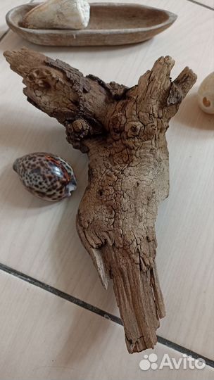 Коряги, дрифтвуд