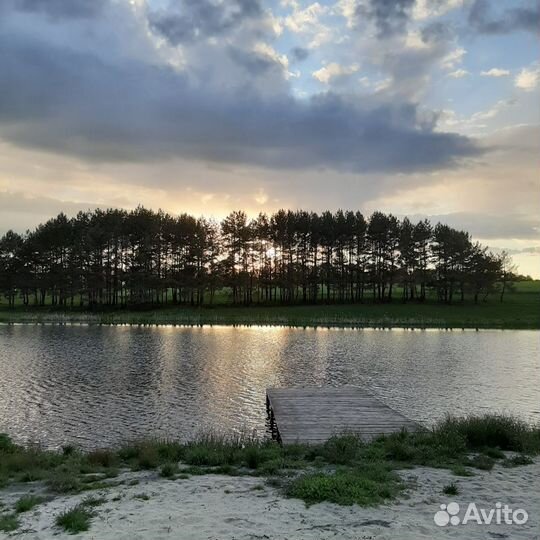 Дом - на берегу пруда