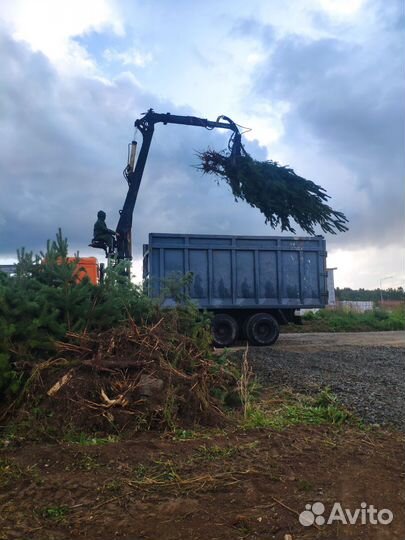 Хапуга вывоз мусора