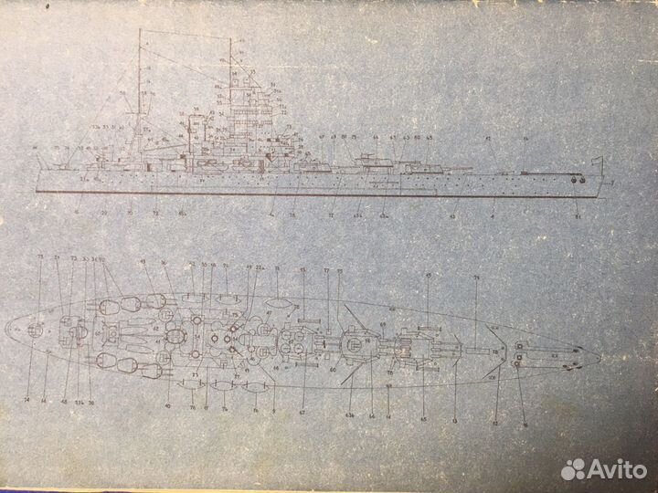 Малый Молеляж (Maly Modelarz) Rodney