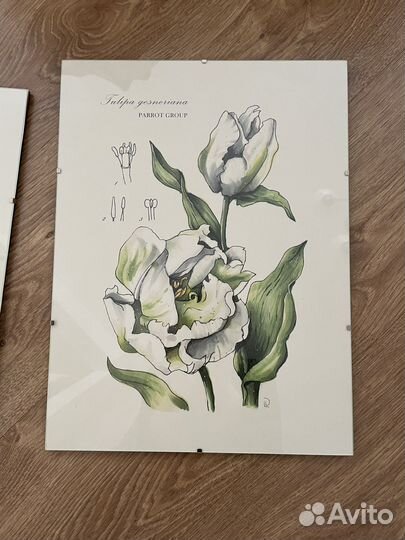 Картины и постеры