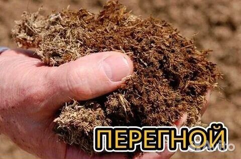 Перегной коровий