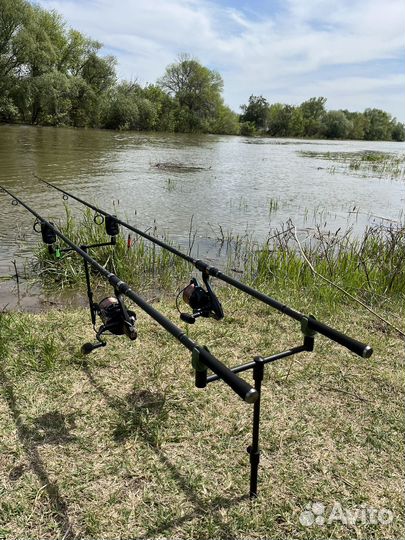 Комплект карповых удилищ