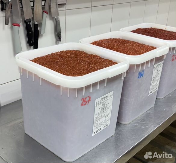 Икра горбуши оптом в самаре