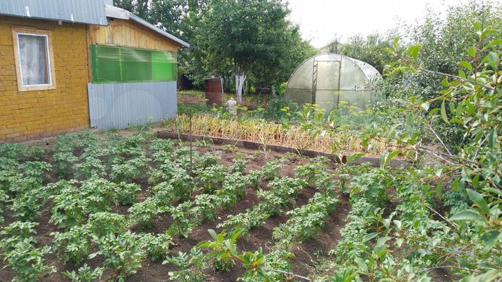 Дача 40 м² на участке 4 сот.