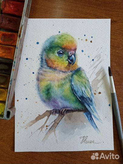Картина акварель Попугай