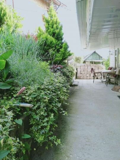 Участок 4,8 сот. (СНТ, ДНП)