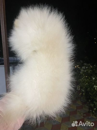 Мальчик медвежонок