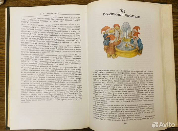 Стекольников Мурлх Целебные кладовые природы