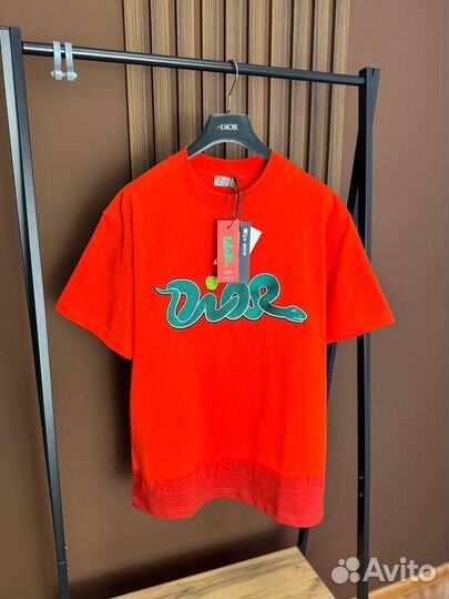 Футболка Dior & Kaws