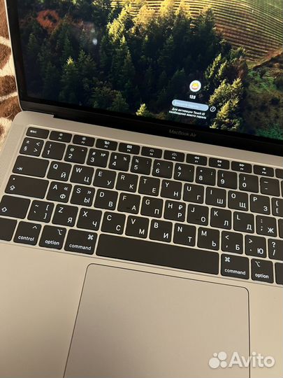 Apple macbook air 2019 256