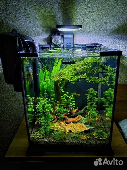 Аквариум с дизайном и со всем необходимым
