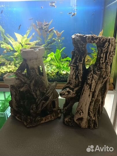 Аквариумные декорации