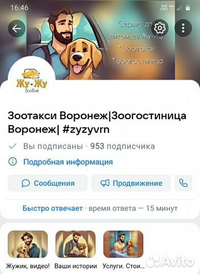 Передержка собак. Зоогостиница