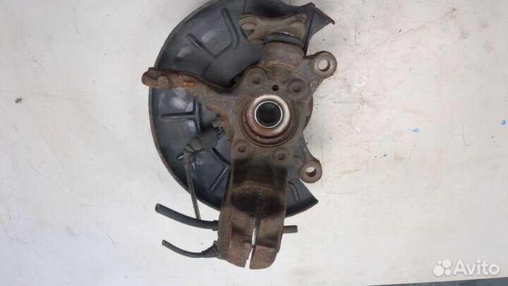 Ступица (кулак, цапфа) Volkswagen Tiguan, 2011