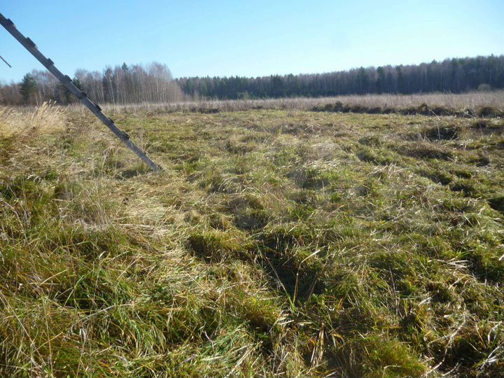 Участок 8 сот. (ИЖС)