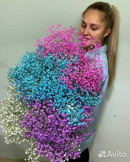 Гипсофила радужная