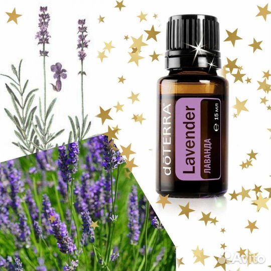 Лаванда. Эфирное масло doterra